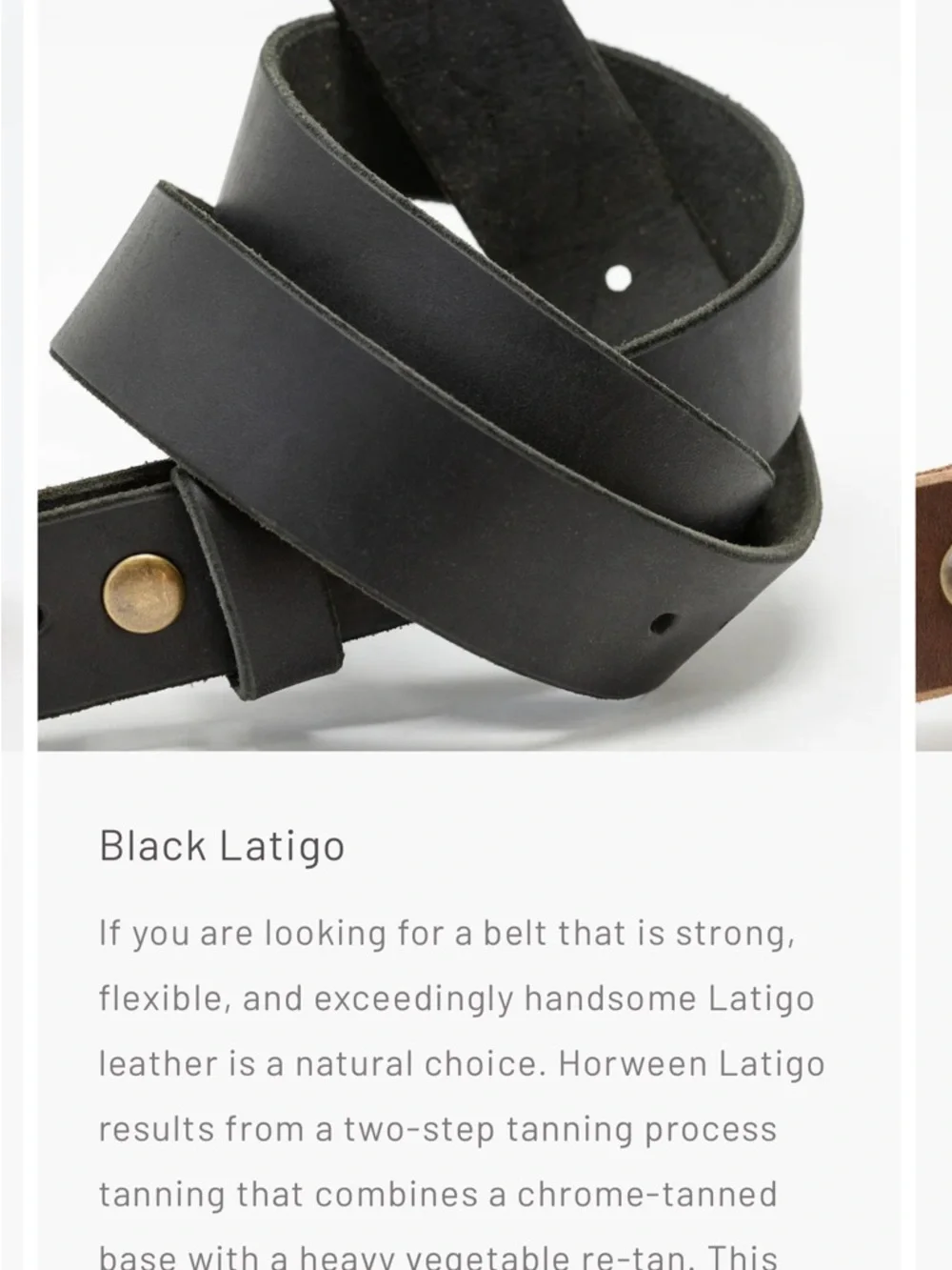 Black Leather Dog Leash with Gold Hardware Death & Co collab